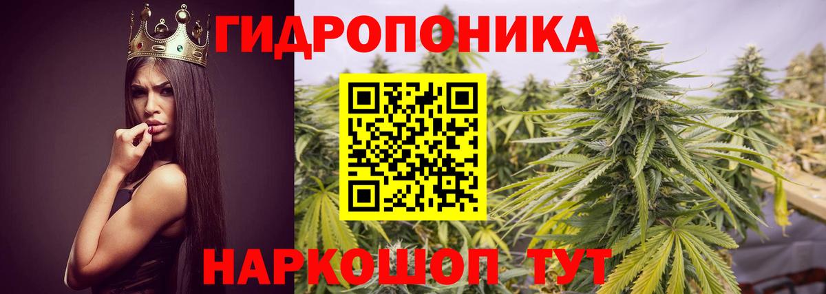 Бошки Шишки конопля Лангепас